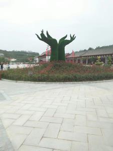 中年逆袭的手相女