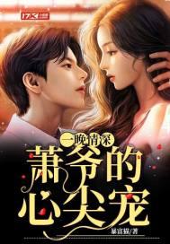 一夜情深萧少的心尖宠