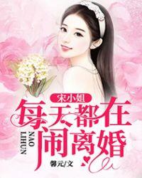 宋小姐每天都在闹离婚免费阅读