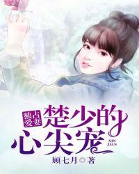 独占爱妻楚少的心尖宠全文阅读