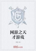 网络天才的游戏