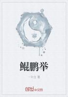 鲲鹏举是什么意思