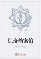 惊奇档案pdf