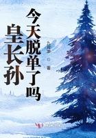 电视剧长孙皇后