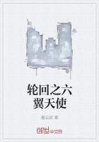 轮回之章羽翼六周年隐藏英雄