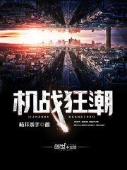 机战狂潮讲的是什么