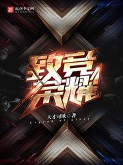 致竞荣耀公司名叫什么