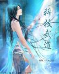 科技武学类