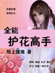 全能护花高手