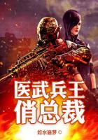 医武兵王俏总裁